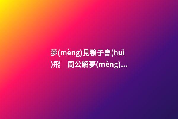 夢(mèng)見鴨子會(huì)飛　周公解夢(mèng)之夢(mèng)到鴨子會(huì)飛